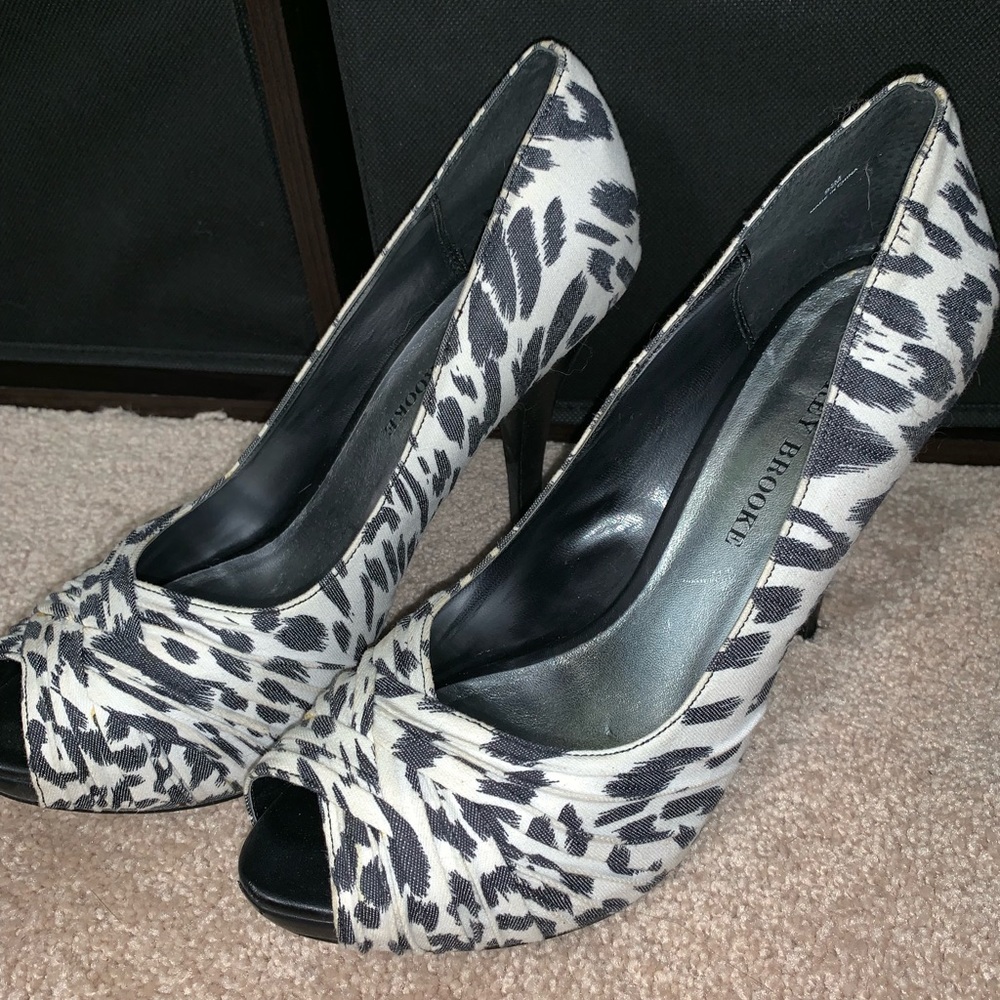 Black and white cheetah heals